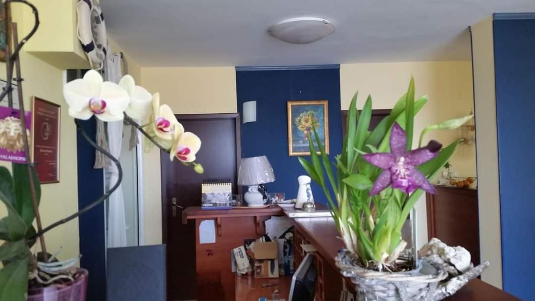 Hotel Lozite Sozopol Esterno foto